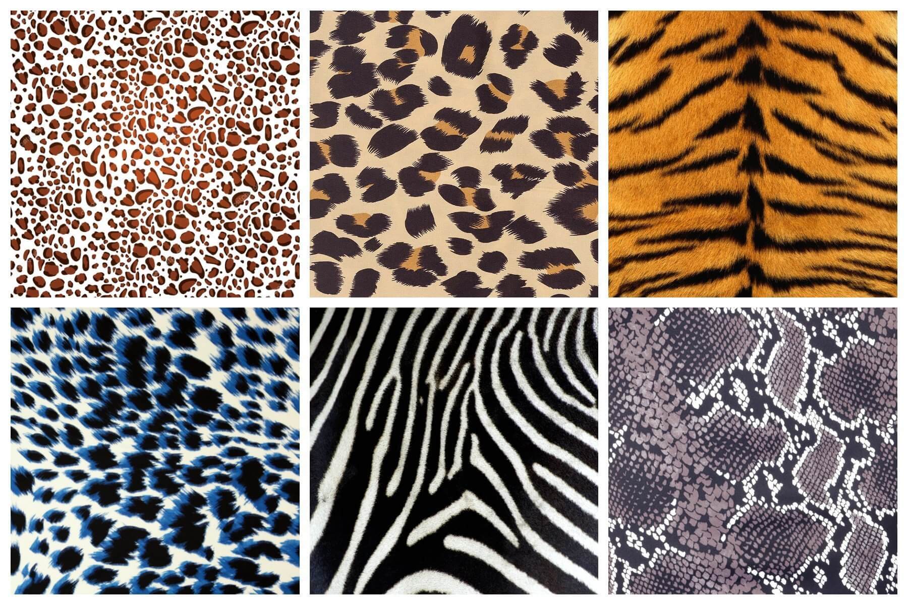 Fantasia Animalier